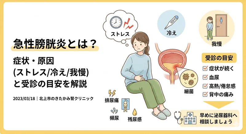 急性膀胱炎とは？症状・原因（ストレス/冷え/我慢）と受診の目安を解説
